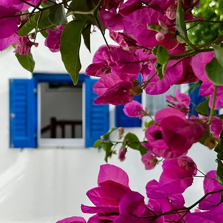 Panormos Escape Dreamy Coastal Villa Panormos (Mykonos)